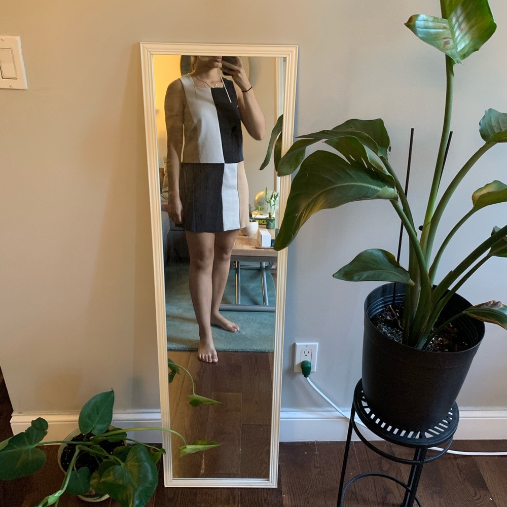 Zara Color block Dress